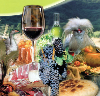 Padova Enogastronomia